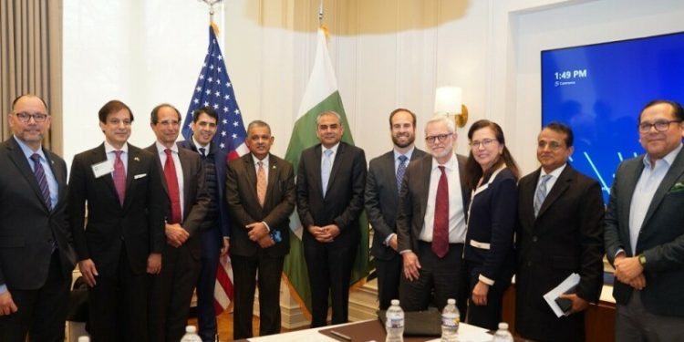 Naqvi assures resolution of US companies issues