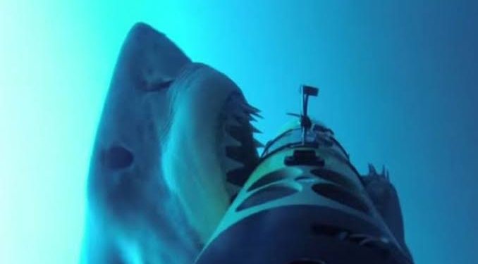 PTA Chief Says Sharks Can’t Damage Submarine Cables