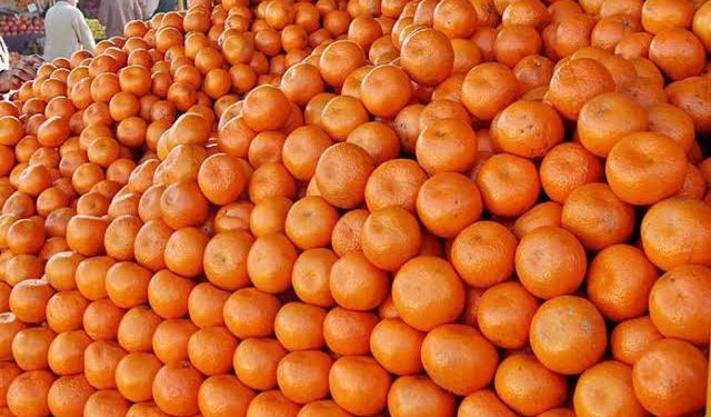 Pakistan Removes Ban on Orange Exports to Malaysia