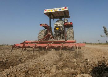 Pakistan drought dents winter harvest - Markets
