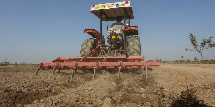 Pakistan drought dents winter harvest - Markets
