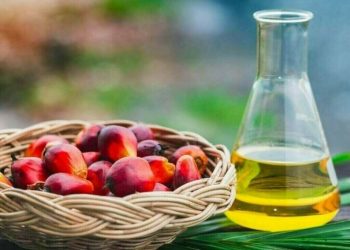 Palm falls as weakness in rival oils