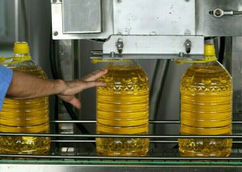 Palm oil ends with more than 5% weekly losses - Markets