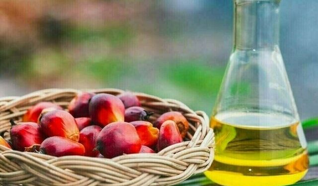 Palm range-bound on Chicago soyoil weakness, lower Jan export forecast