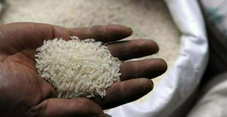 Rice export to BD: TCP receives 11 bids