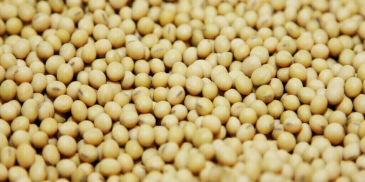 Soybeans ease on Trumps tariffs threat, set for second monthly gain