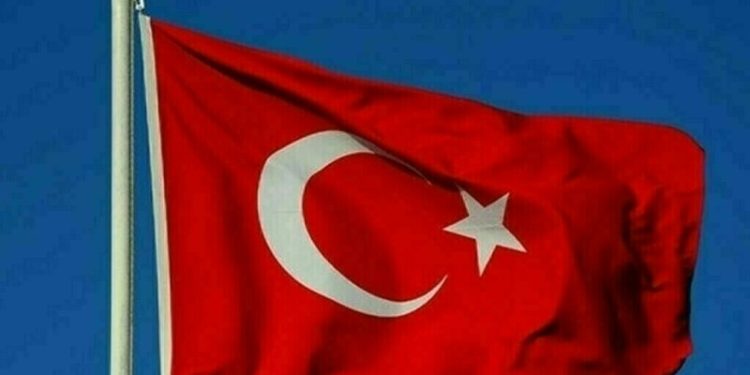 Turkiye annual inflation falls to 44.38% in December