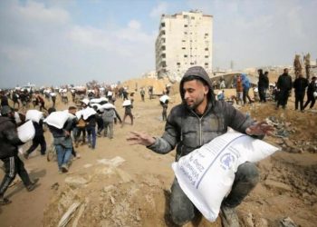 UN World Food Programme accuses Israel of firing on Gaza convoy