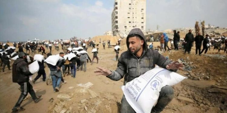 UN World Food Programme accuses Israel of firing on Gaza convoy