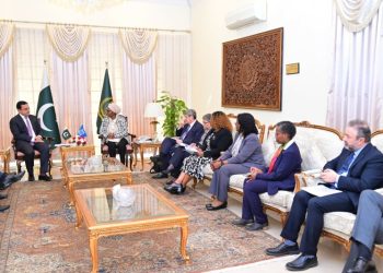 Govt aims to privatise up to 50 SOEs in next 3-4 years: minister