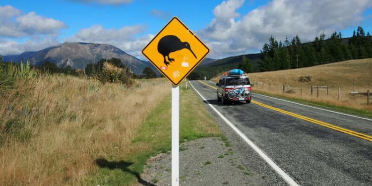 New Zealand to loosen visa rules to lure foreign investors - Business & Finance