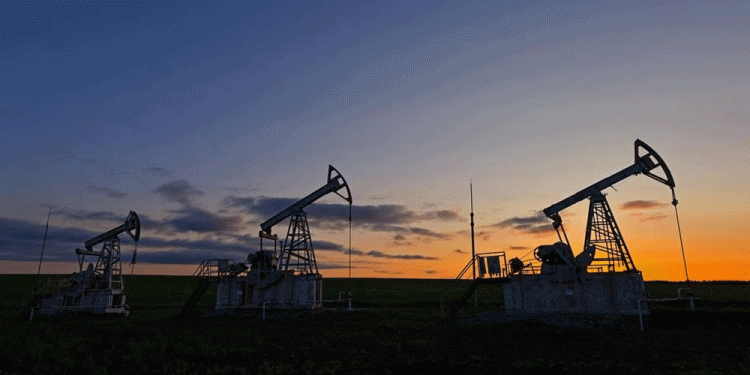 Oil prices steady as traders await progress on push for Ukraine peace deal