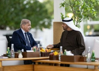 PM Shehbaz builds case for climate finance at UAE summit