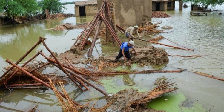 Pakistan ranked most vulnerable to climate change in 2022: Germanwatch