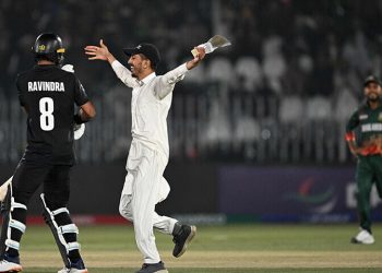 Pitch invasion incident will not be repeated: PCB