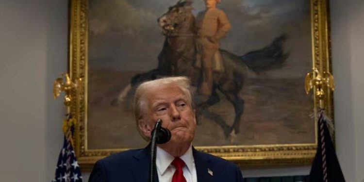 Second US judge blocks Trump’s birthright citizenship order