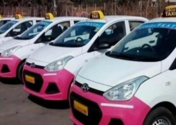 Sindh govt, Dewan Group look to introduce 500 electric taxis in province - Markets