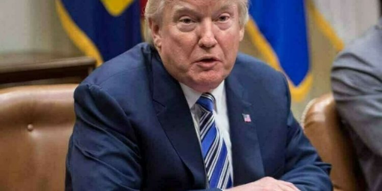 Trump to decide on tariff policies for all countries after April 1, Hassett tells CNBC