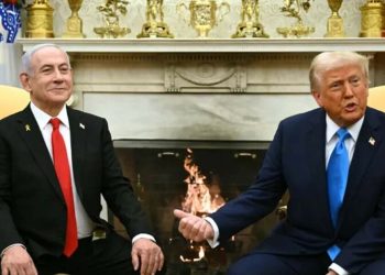 ‘We live or die here’: Gazans reject Trump proposal