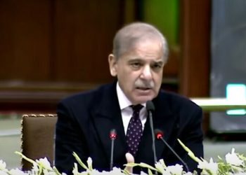 PM Shehbaz sounds alarm on state-owned entities losing Rs850bn annually