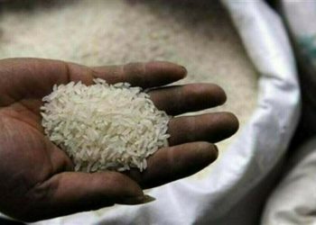 Bangladesh gets offers in tender to buy 50,000 T rice, traders say