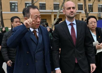 China, France to hold high-level strategic and economic dialogues this year - World