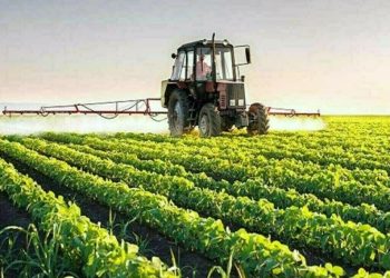 China hits back at Canada with fresh agriculture tariffs