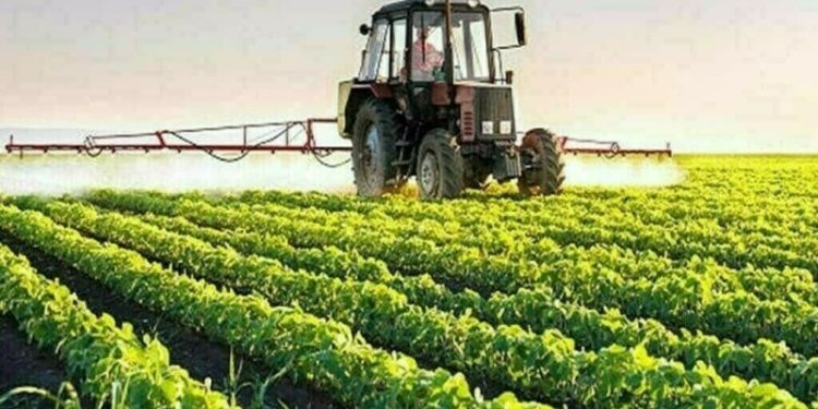 China hits back at Canada with fresh agriculture tariffs