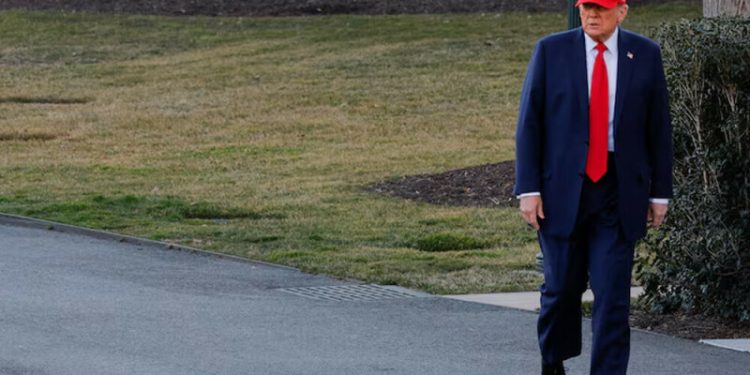 Donald Trump orders new tariff probe into US lumber imports