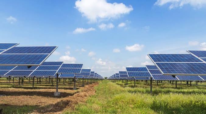 Good News for Solar Consumers! Govt Rejected Buyback Rate Reduction