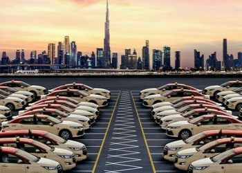 In first year after IPO, Dubai’s Parkin makes ‘remarkable progress’