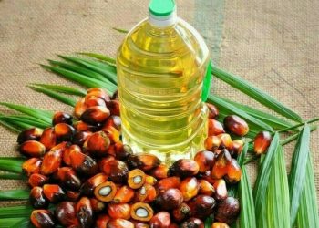 Palm oil gains on Chicago soyoil, inventory data awaited