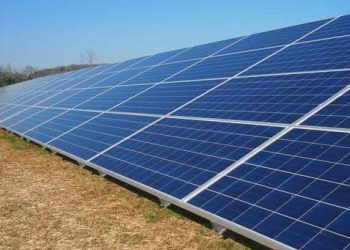 Punjab to Shift All 43 Prisons to Solar Energy