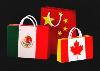 Trump has hit Canada, Mexico, and China with tariffs. Here are the goods the US imports from them the most.