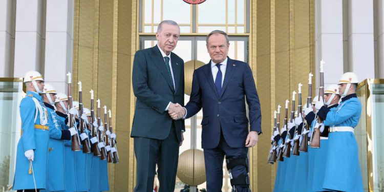 Turkiye could be a vital partner as Europe, Ukraine seek new security framework