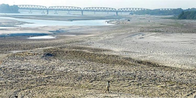 Water Shortage in Sindh Hits 50%, Threatens Kharif Crops