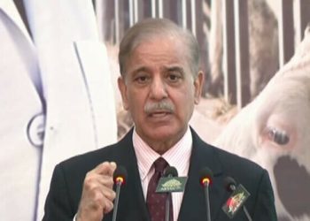 IMF programme wasn’t possible without China’s support: PM Shehbaz