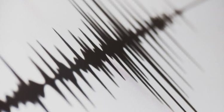 5.0-Magnitude Earthquake Strikes Pak-Afghan Border