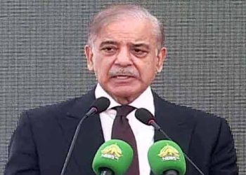 Cheaper Electricity Will Help Pakistan’s Exports Compete Internationally, PM Shehbaz Sharif