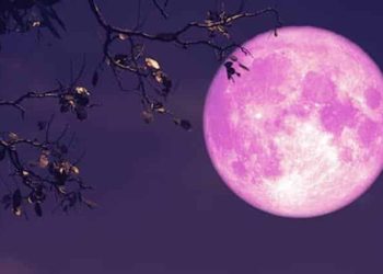 Full Pink Moon to Light Up Karachi’s Sky This Sunday