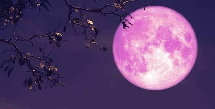 Full Pink Moon to Light Up Karachi’s Sky This Sunday