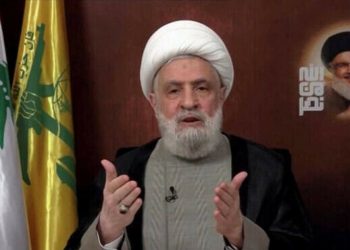 Hezbollah ‘will not let anyone disarm’ it, says chief