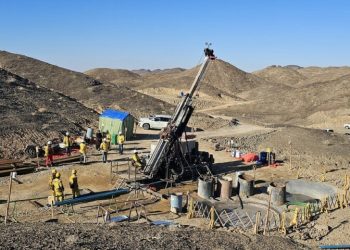 NRL discovers copper-gold mineralization in Chagai