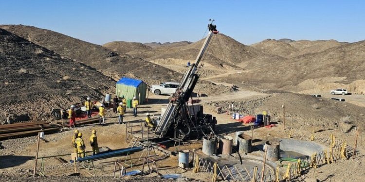 NRL discovers copper-gold mineralization in Chagai