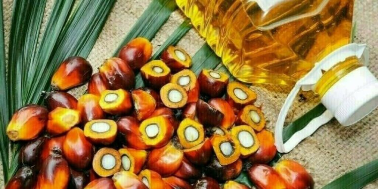 Palm tracks weakness in Chicago soyoils, Dalian vegetable oils