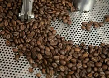 Robusta coffee rallies amid supply jitters, tariff exemptions