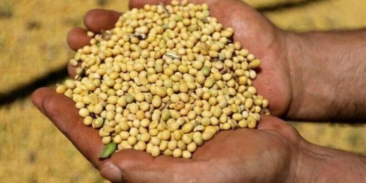 Soy down 22-25 cents, corn down 4-5 cents, wheat down 9-10 cents