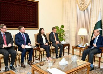 US companies keen to tap Pakistan’s mineral sector