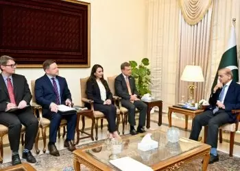 US companies keen to tap Pakistan’s mineral sector
