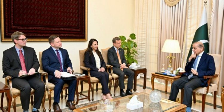 US companies keen to tap Pakistan’s mineral sector